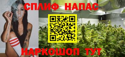 шишки Бузулук