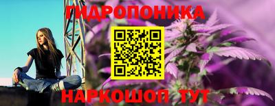 шишки Бузулук