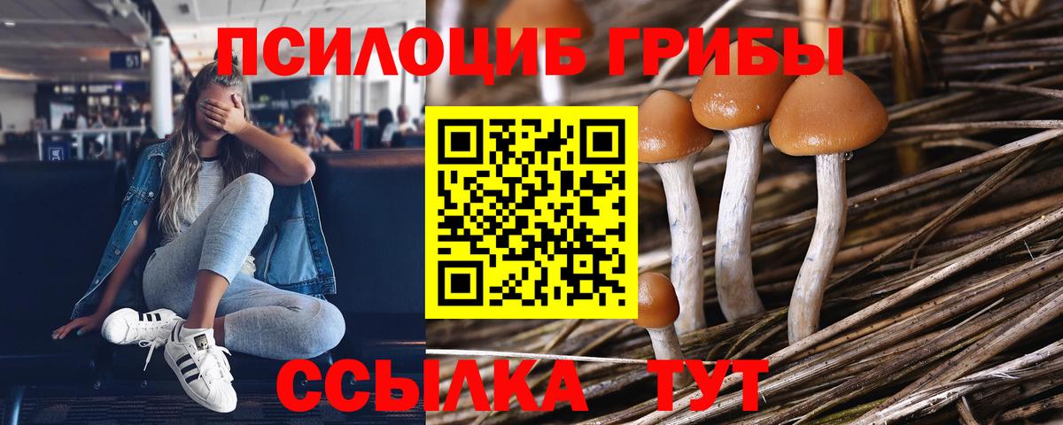 Псилоцибиновые грибы ЛСД Тамбов