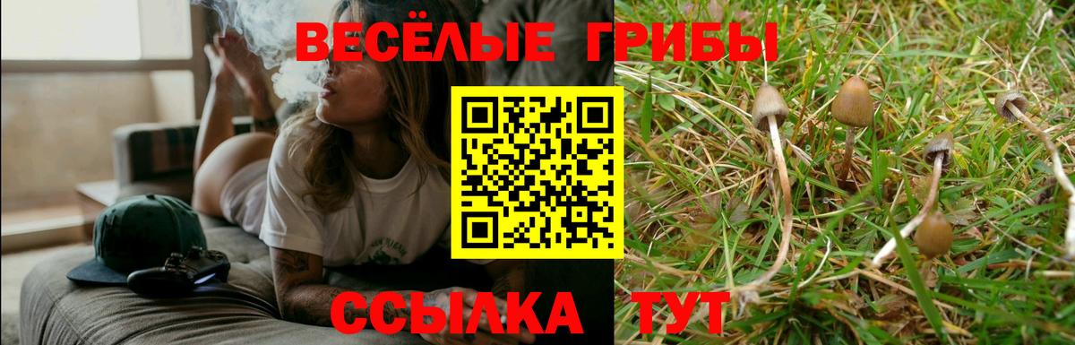 Псилоцибиновые грибы Psilocybine cubensis  Вход с VPN  Тамбов  Псилоцибиновые грибы Cubensis 